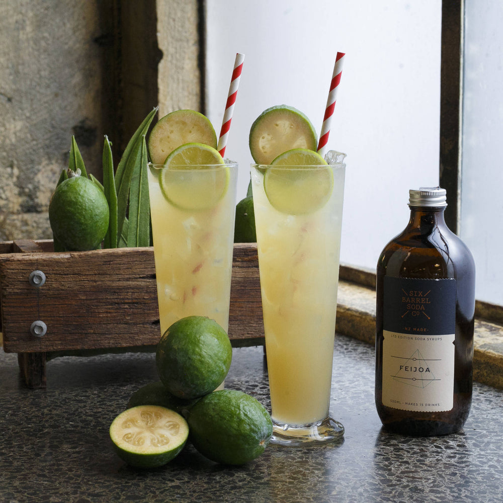 Feijoa Fizz - Six Barrel Soda Co.