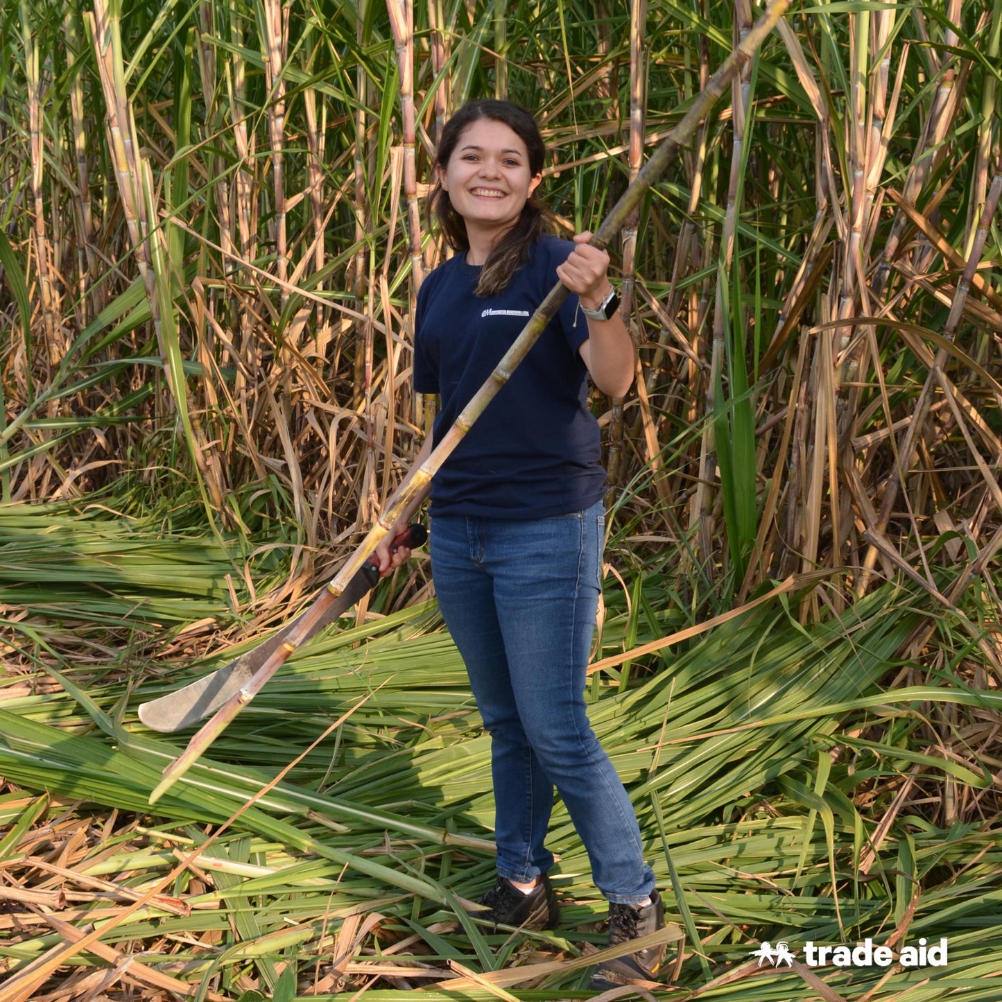 A Sweet Partnership: The Story Behind Our Organic & Fair Trade Cane Sugar