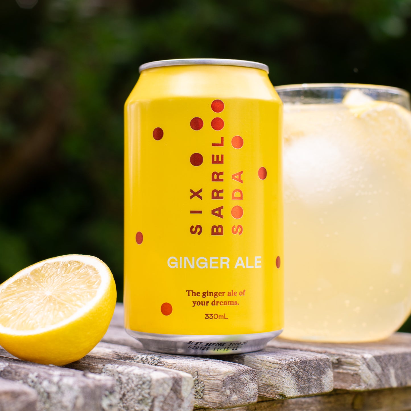 
                  
                    Ginger Ale 330mL Soda - 24 pack
                  
                