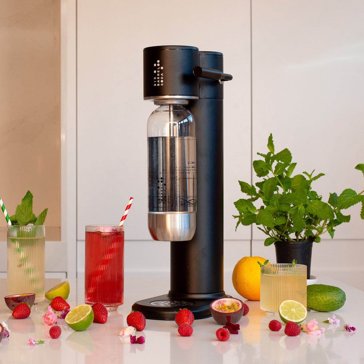 
                  
                    The Sparkler 2.0 Soda Maker - Black Pepper
                  
                