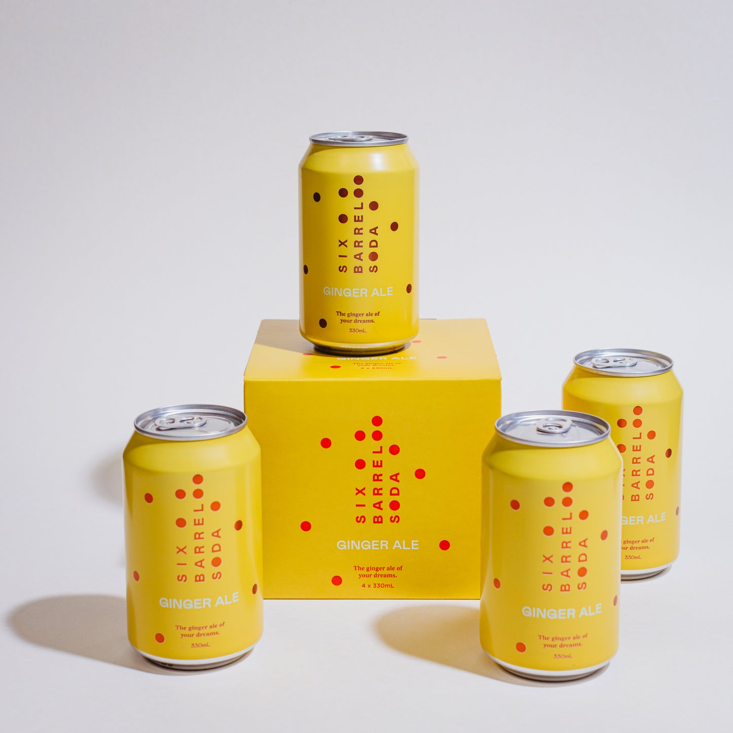 
                  
                    Ginger Ale Soda 330mL
                  
                