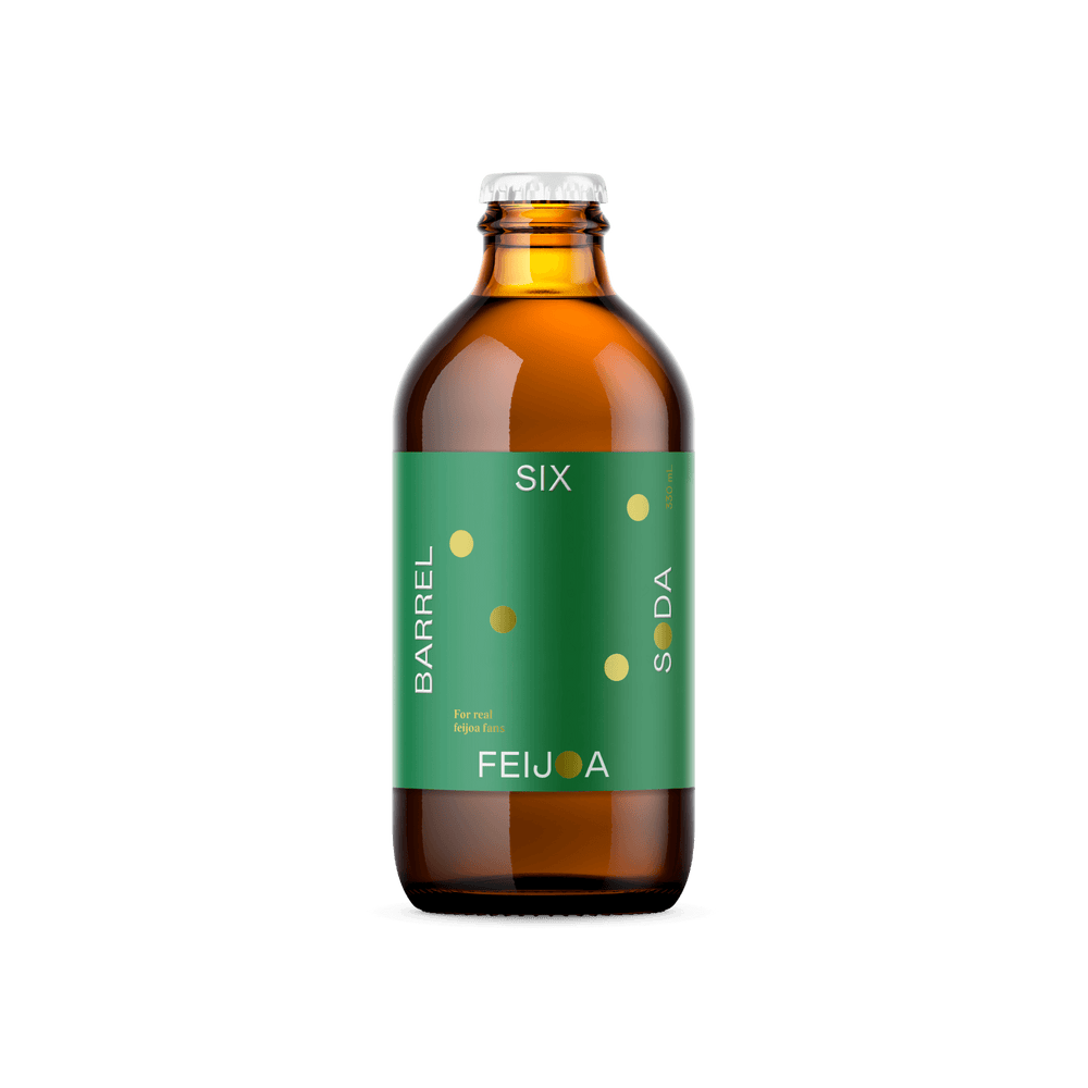 Feijoa Soda - 15 pack - Six Barrel Soda Co.